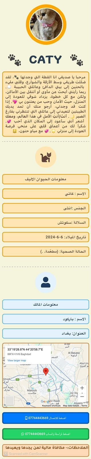 شكل الصفحة الإلكترونية